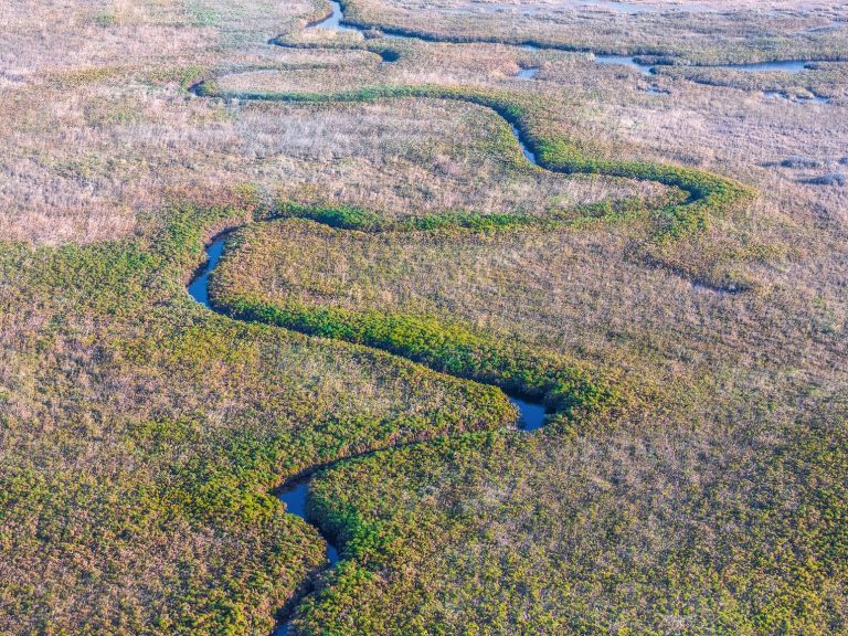 Flying Safari au Botswana : survoler la savane et finir aux Chutes Victoria