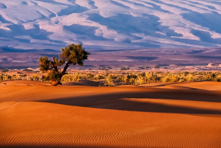 Namibie, bienvenue sur une autre planète !