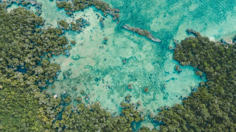 La Swahili Coast : entre lagons, histoire et culture