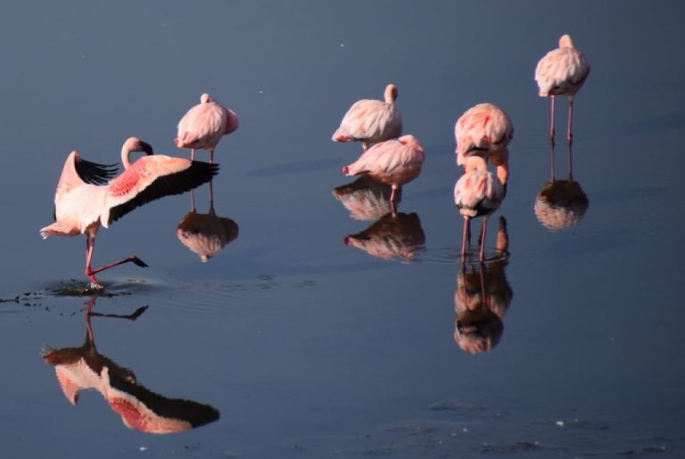 Tanzanie : le lac Natron, loin des circuits classiques
