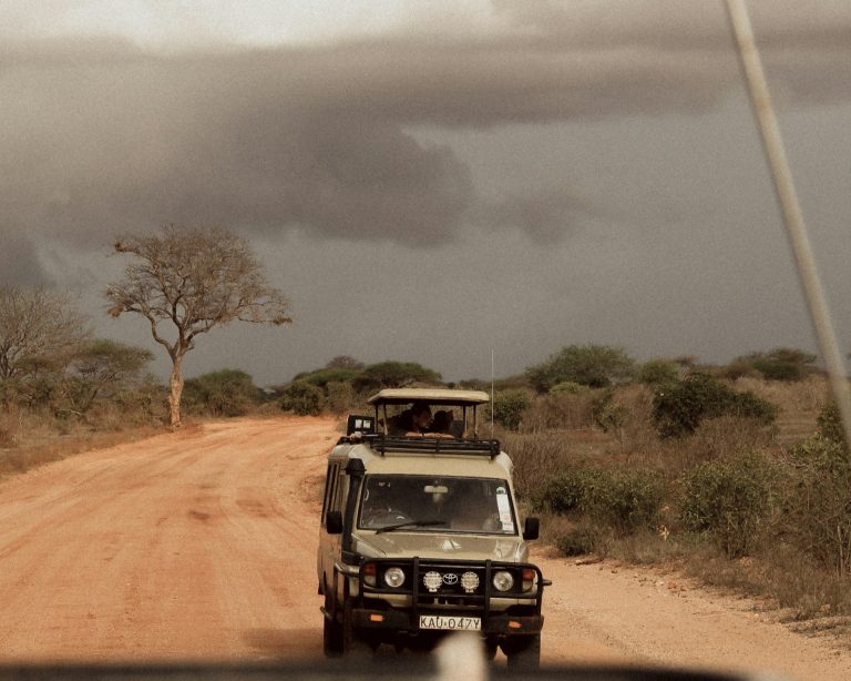 Les plus beaux safaris en Afrique : quel pays choisir ?