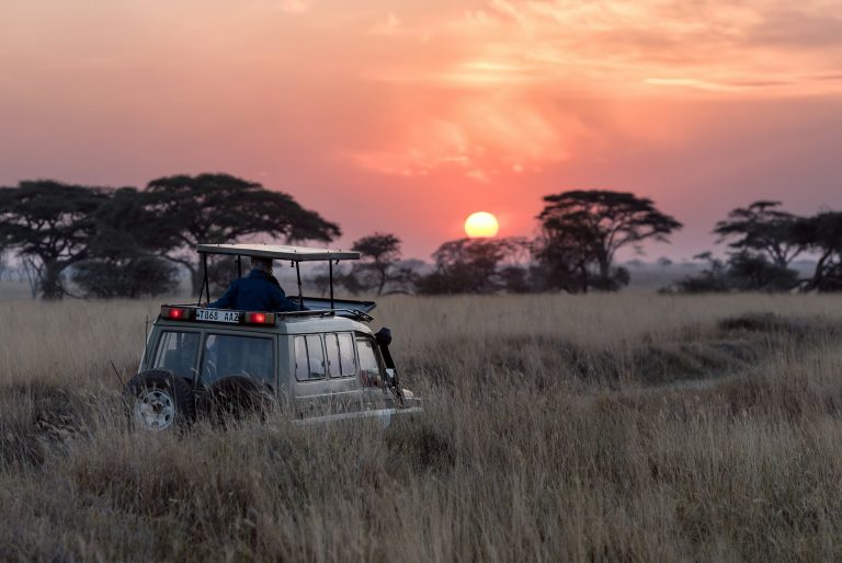 Camper en Afrique : bivouac, restcamps et glamping